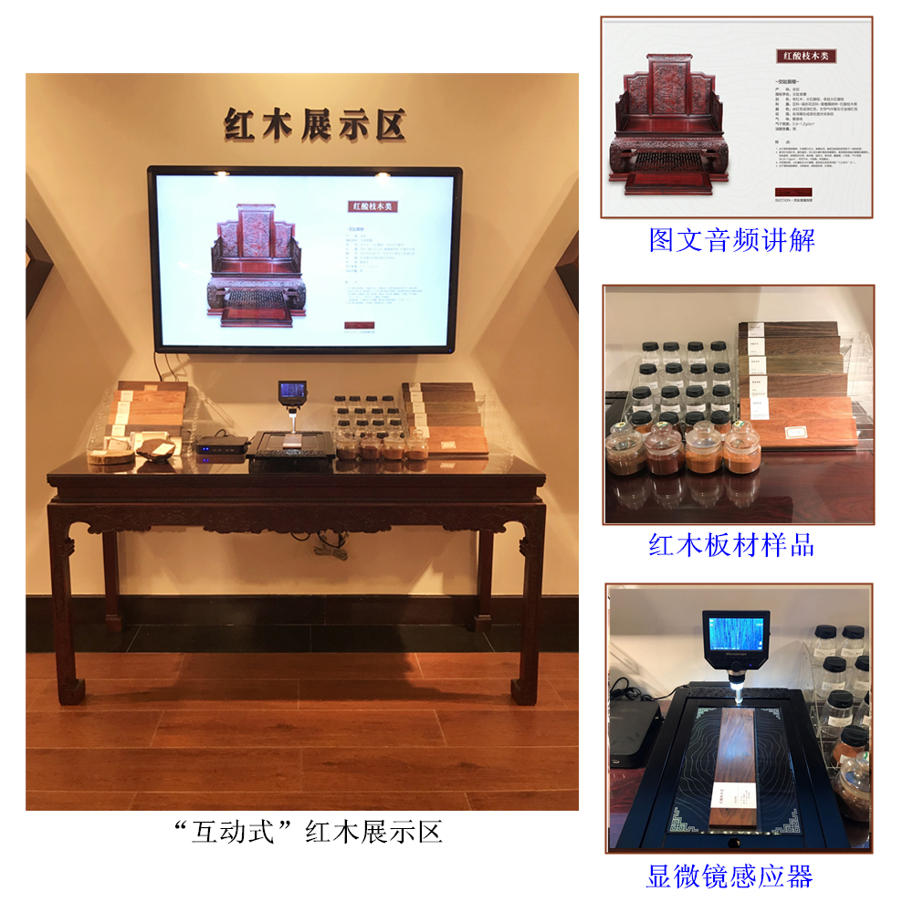 博覽千年紅木，再現(xiàn)百年家具！美聯(lián)紅木文史館全面升級！